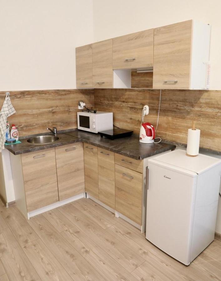Lana Lo Apartments การ์โลวีวารี ภายนอก รูปภาพ
